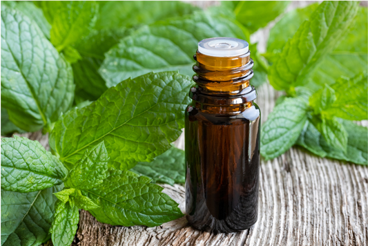 How to use Aromatherapy Oils in your Home Office for Focus and Productivity
